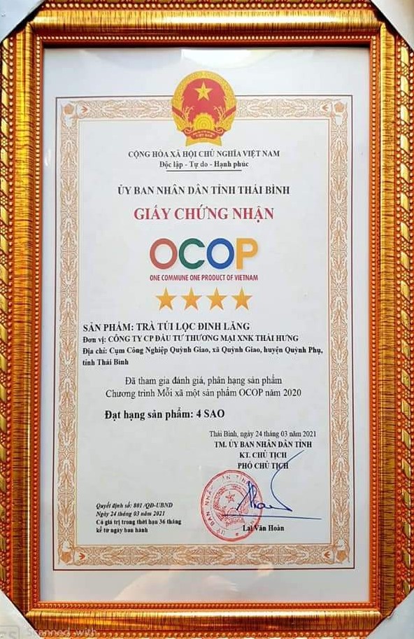 Trà Đinh Lăng Thái Hưng (bịch 50 túi lọc 5g, trà thảo mộc 100% thiên nhiên)