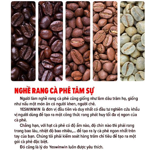 Raw Robusta Coffee Beans 500Gr /1 Bag