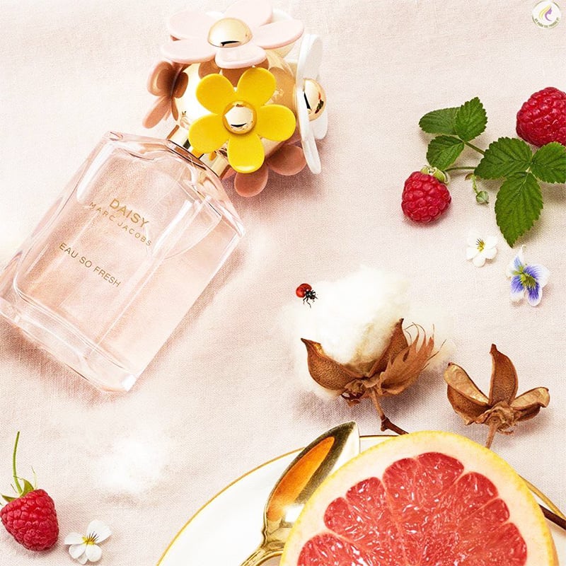 [Chiết 2,5,10ml] Nước Hoa Marc Jacobs Daisy Fresh