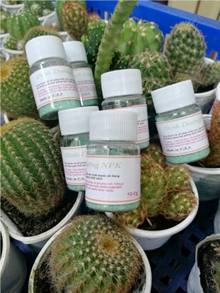 [HCM]Phân bón thúc rễ cho cây trồng