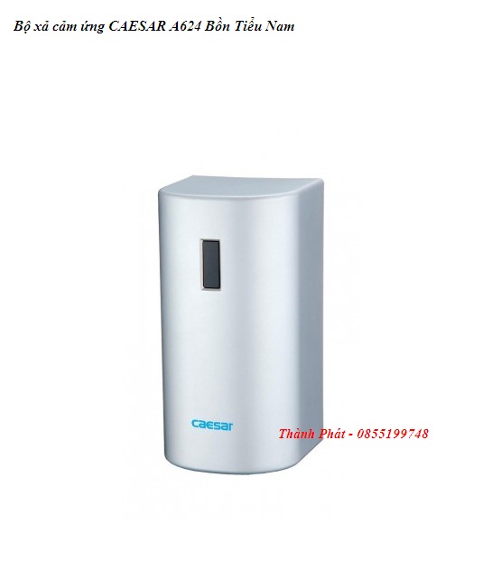 Set induction discharge Caesar A624 male urinal