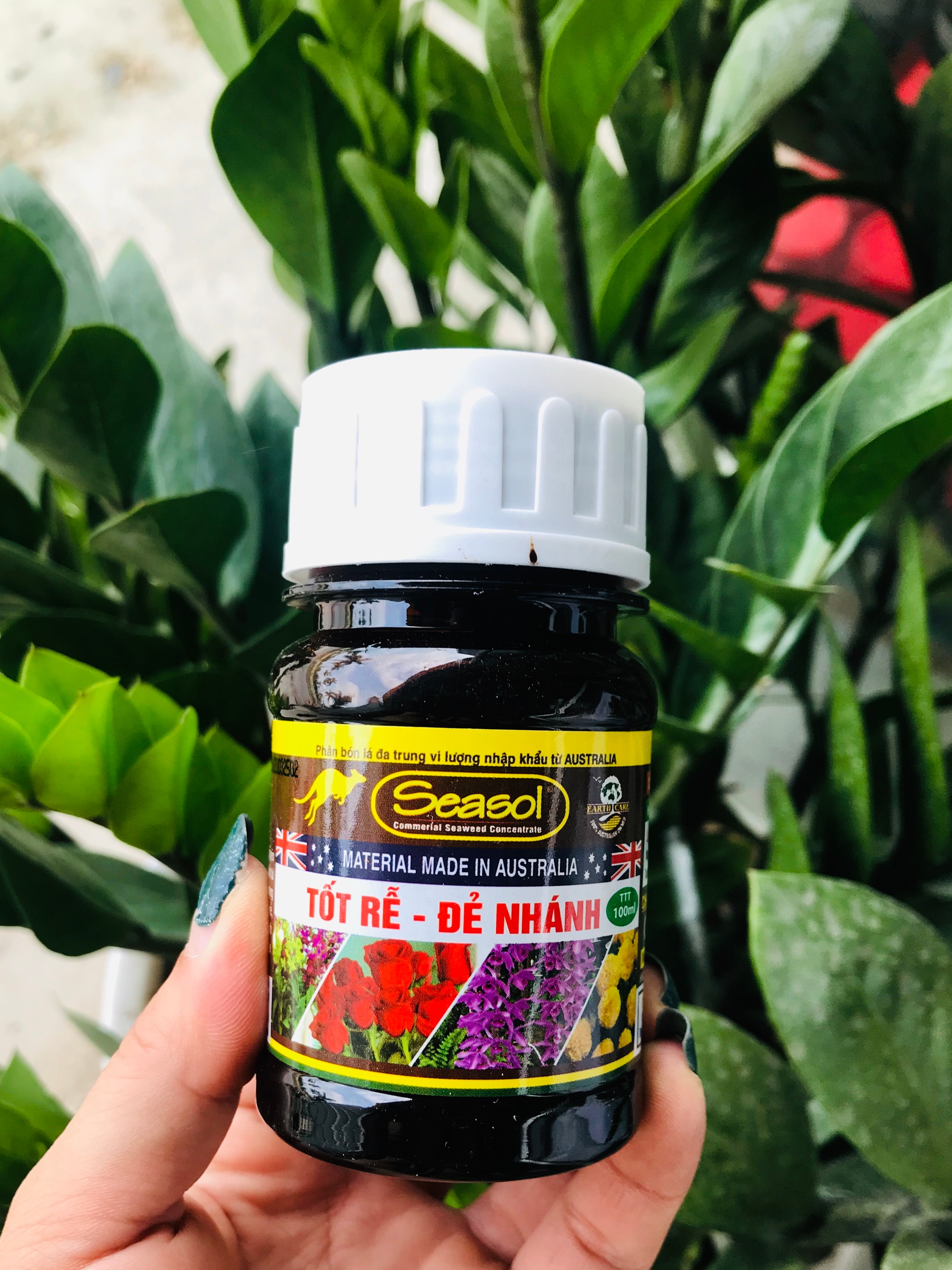 Phân bón tảo biển SEASOL - Tốt rễ - Đẻ nhánh (100ml)