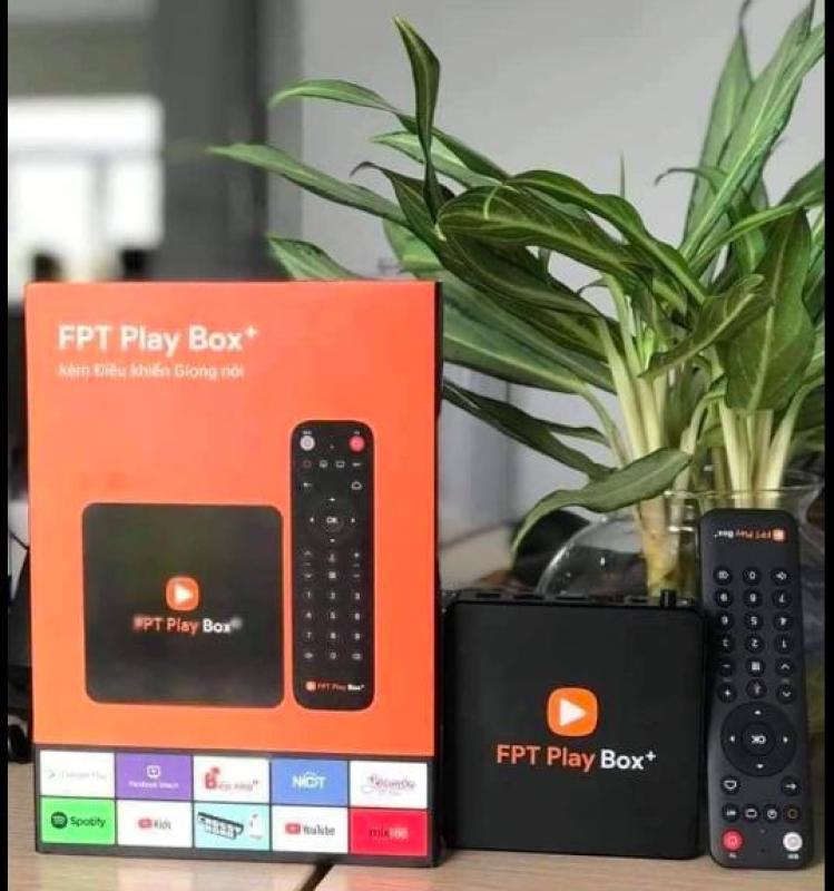 Play Box Plus 2019