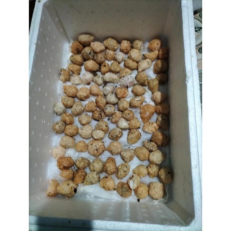 Trứng Ốc thái lan 5 ổ trứng lớn ( ốc trưởng thành 5-7 con 1kg )"