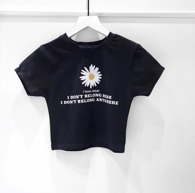 ÁO HOA CÚC CROPTOP