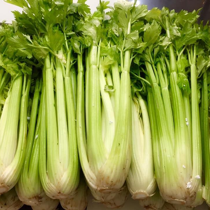 Hạt Giống Cần Tây Bẹ To (326) 5gr
