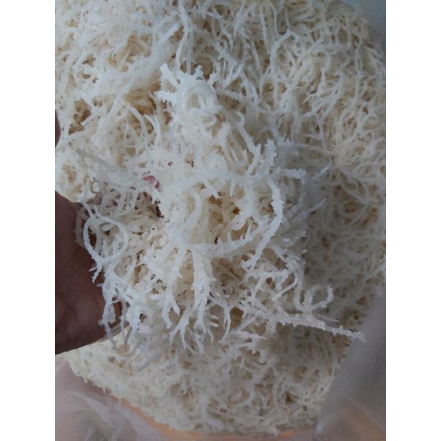 [HCM]Rong sụn muối 1kg
