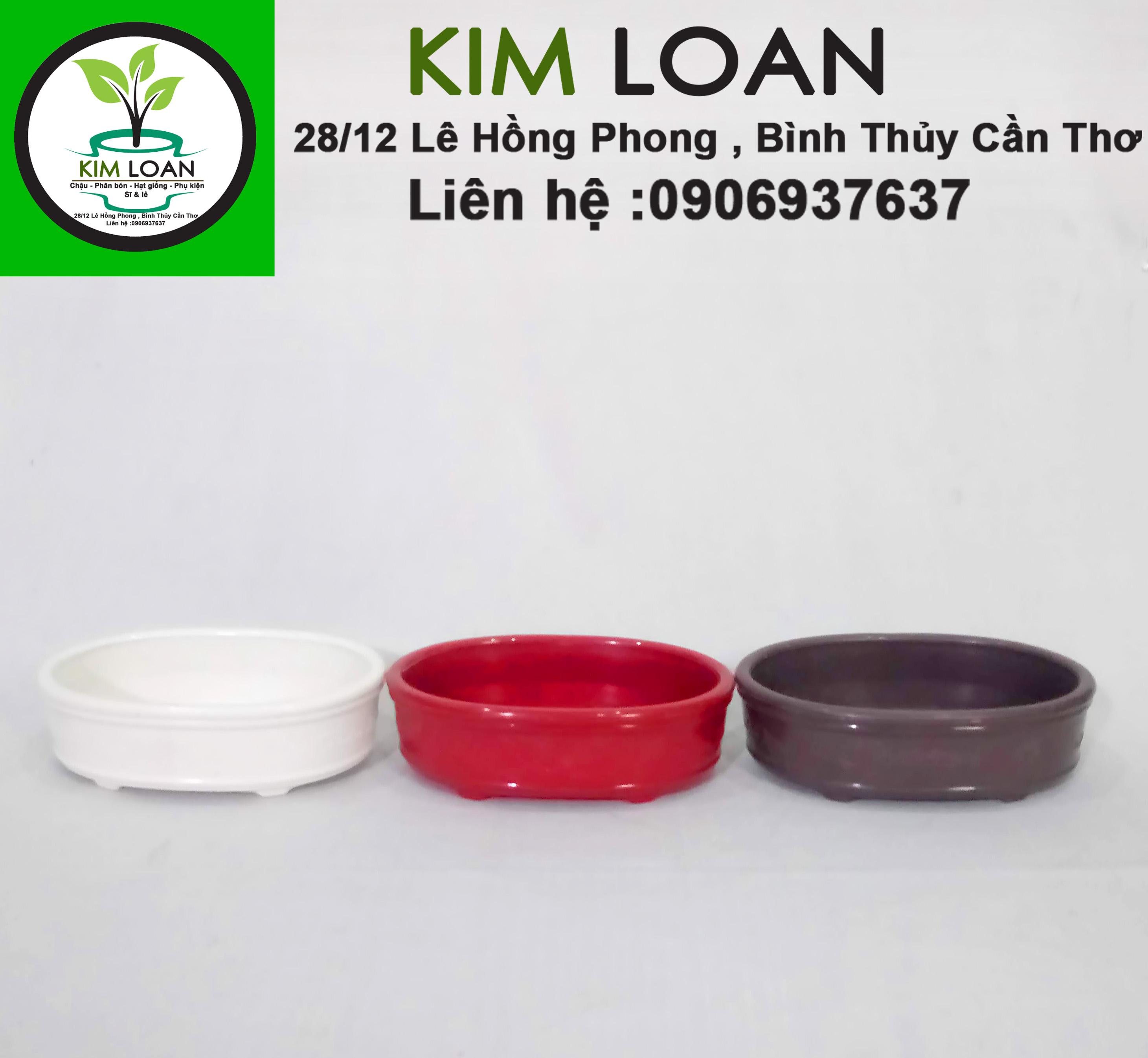 Chậu nhựa bonsai ovan mini 16x12x5cm