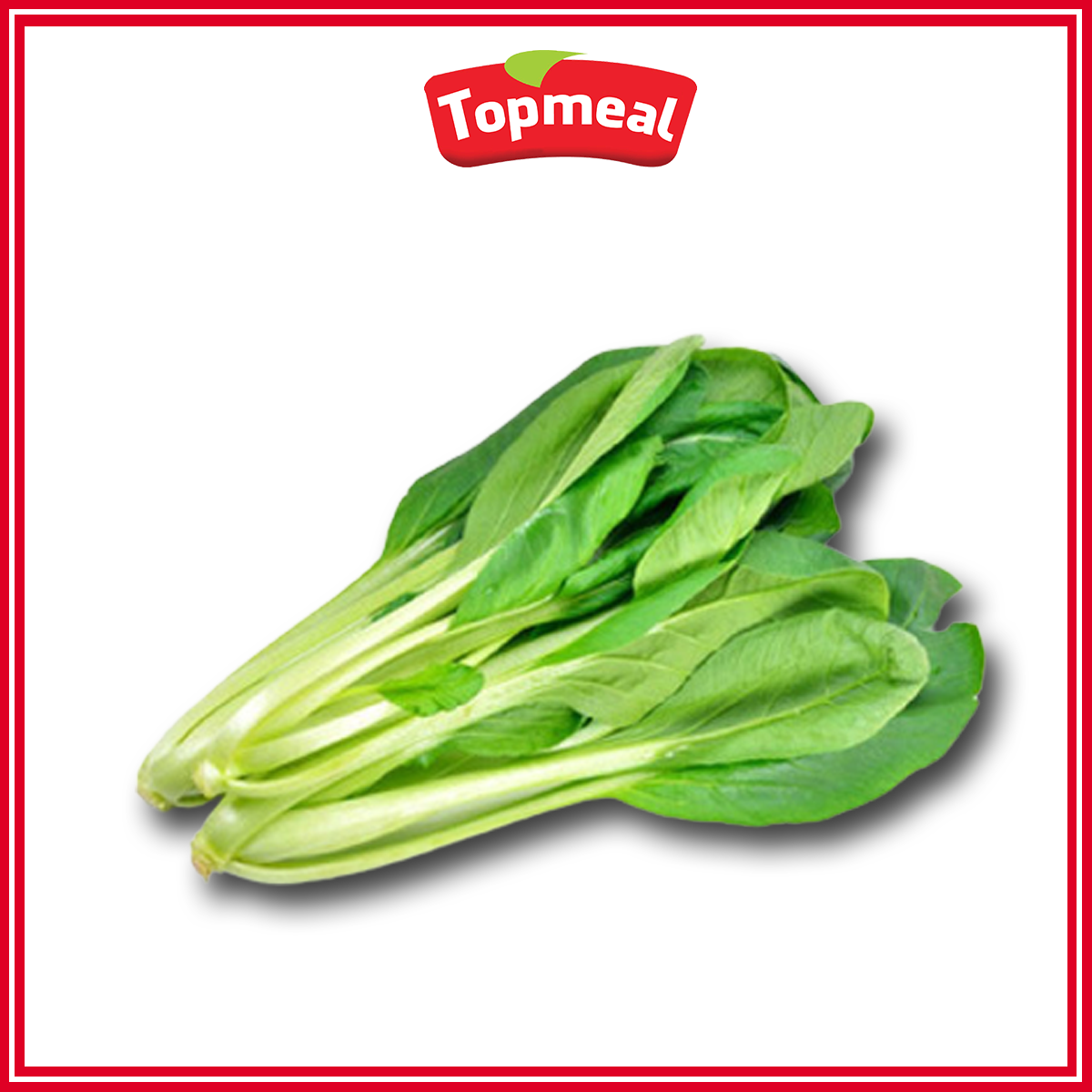 HCM - Cải ngọt (500g) - [Giao nhanh TPHCM]