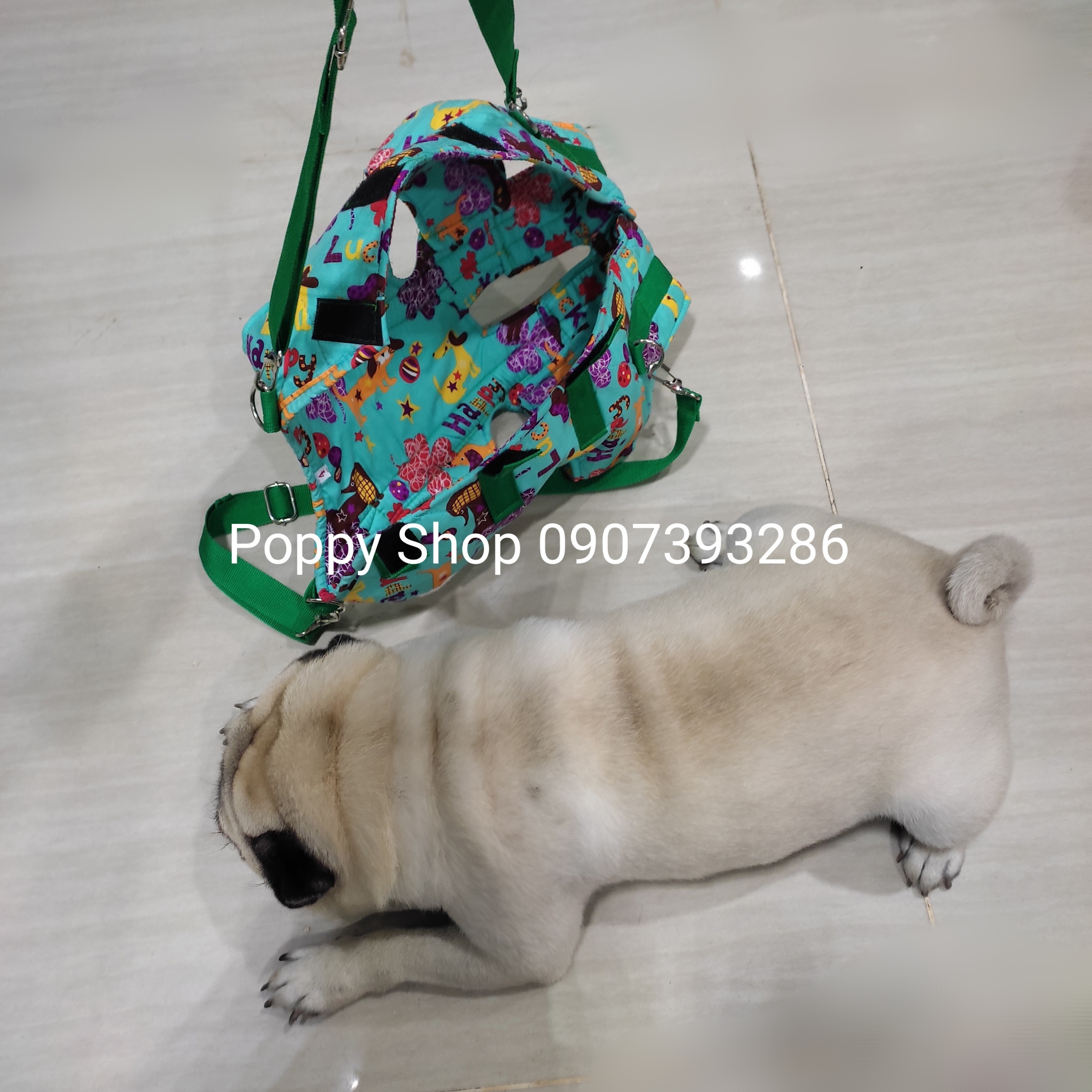 Địu Chó Mèo Của Thái Lan
