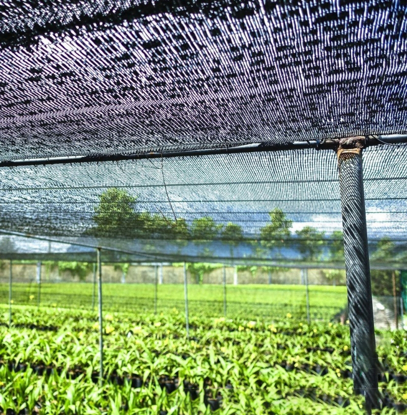 Lưới Che Nắng Mimosa Thái Lan khổ 2 x 5m