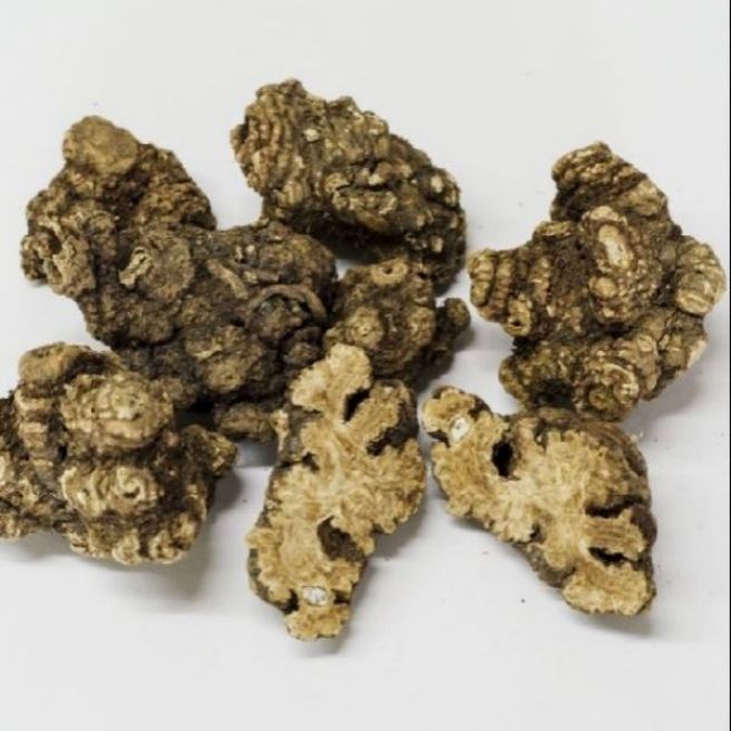 Sỉ toàn quốc 500g xuyên khung