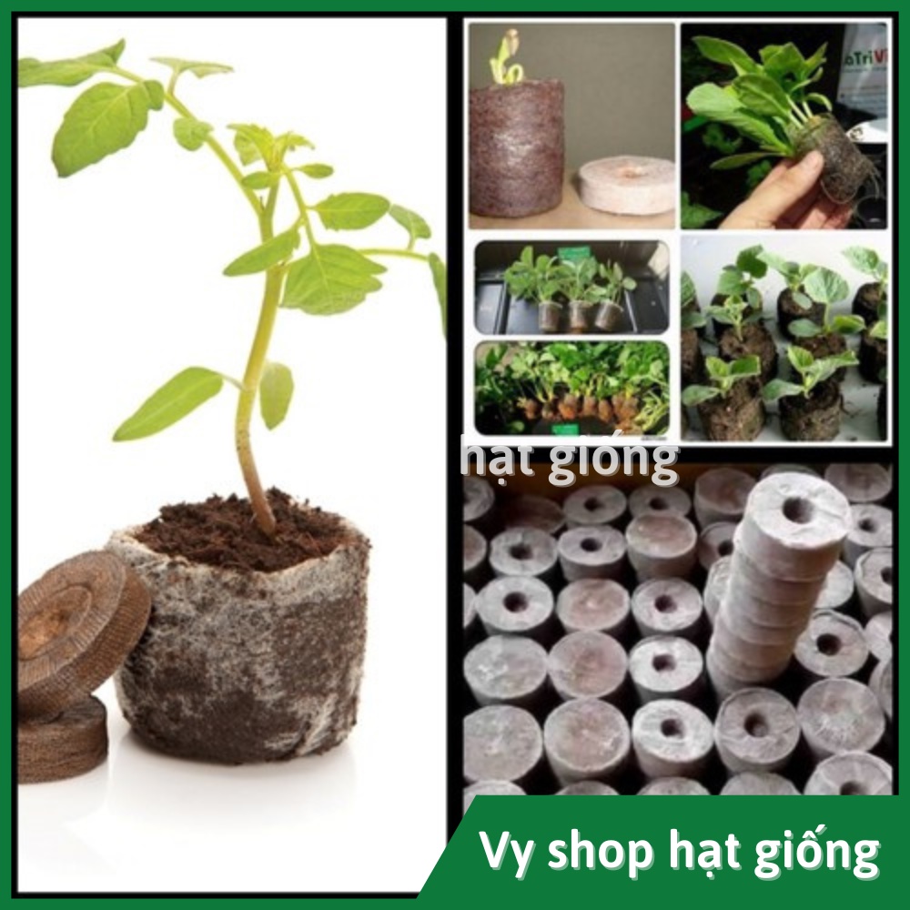 1 Viên nén xơ dừa ươm hạt giống