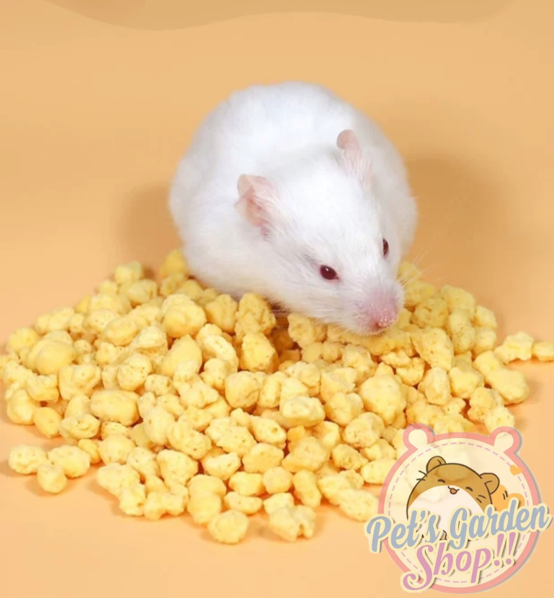 Lòng đỏ trứng sấy cho hamster, mèo...