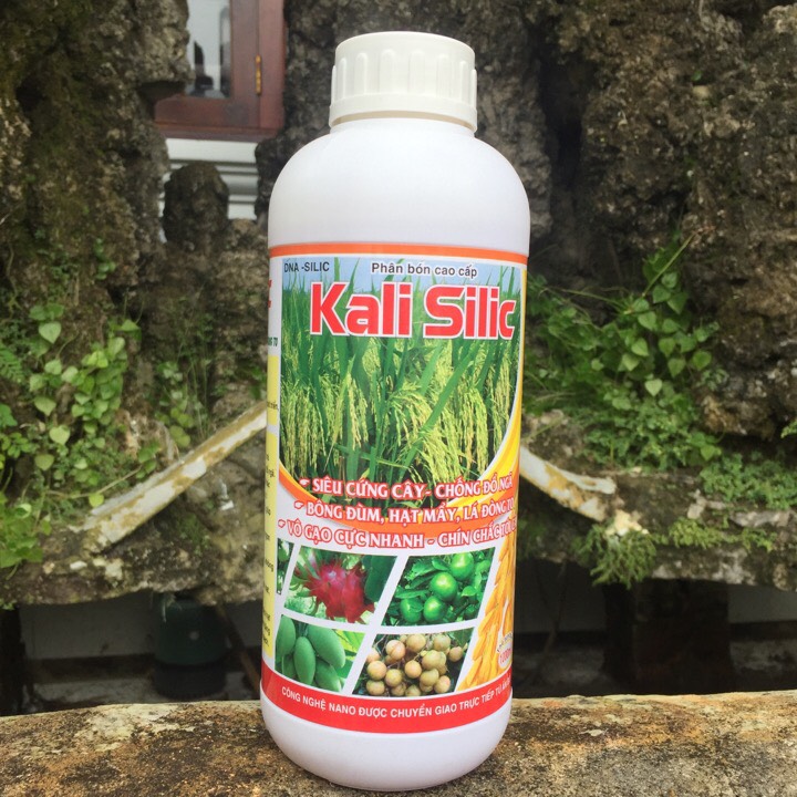 Phân bón Kali Silic 1 lít to hạt, nặng ký, cứng cây