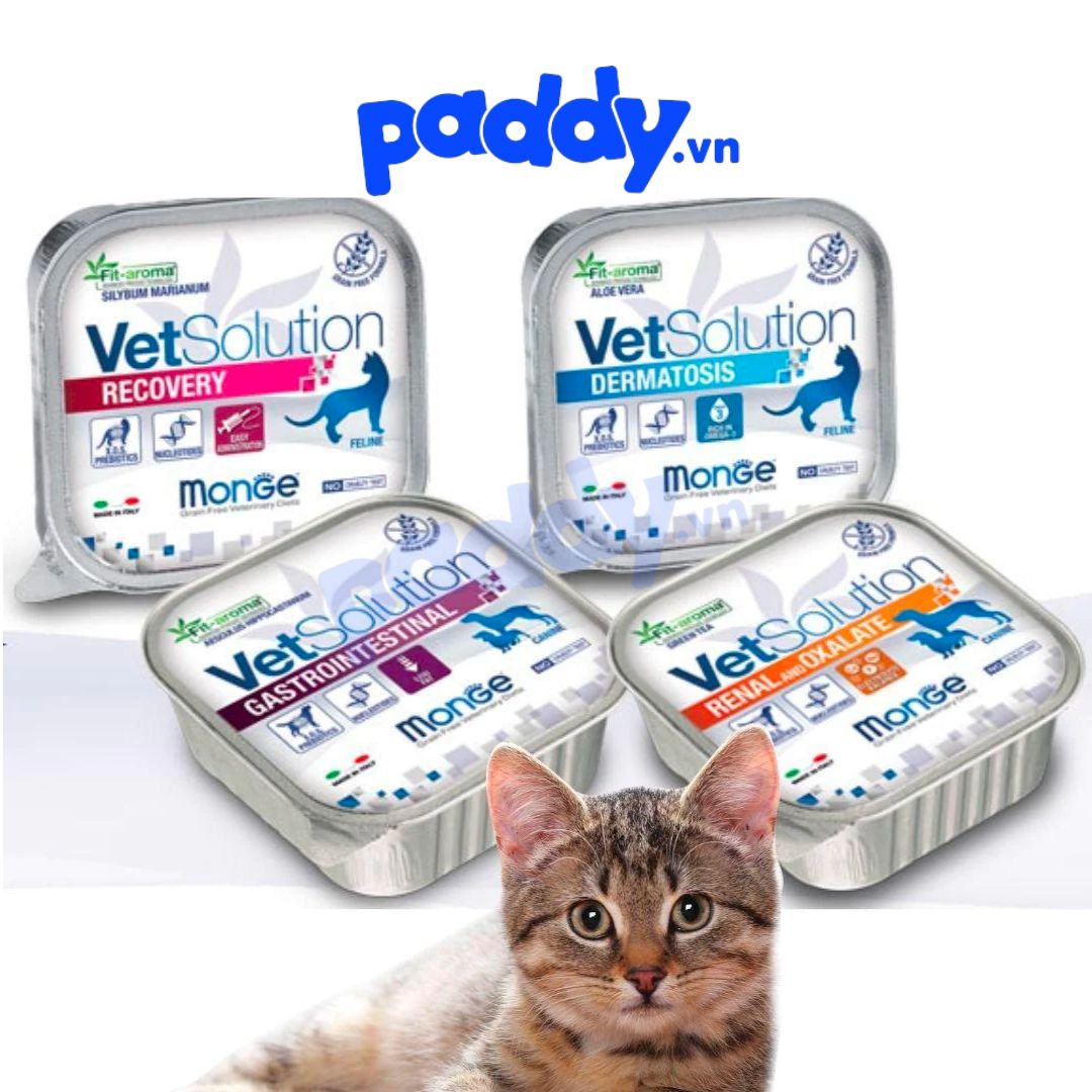 Pate MÈO Monge Vet Solution Chăm Sóc Sức Khỏe 100g