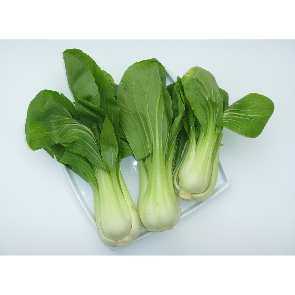 HẠT GIỐNG CẢI THÌA CAO SẢN 20GR