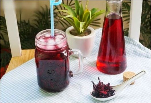 Hạt Giống Hoa Atiso - 2gr