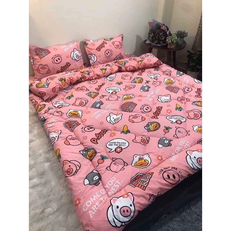 Combo ga giường poly cotton đủ bộ 5 món chăn phao