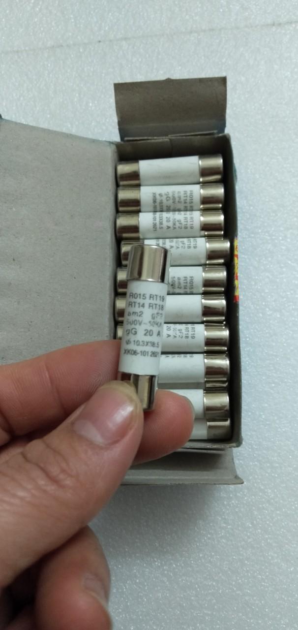 10 cầu chì sứ 20a 500v
