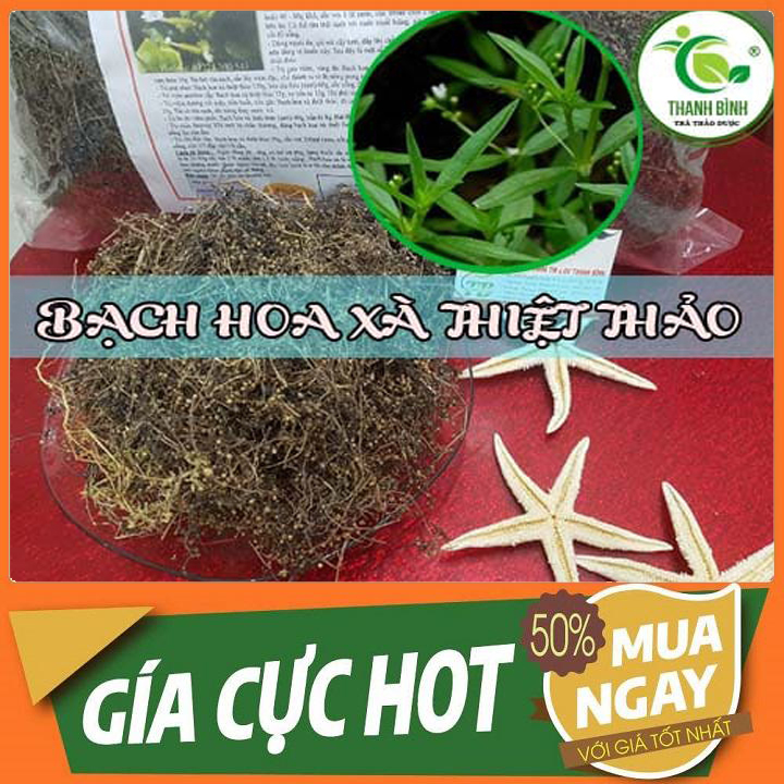 Bạch Hoa Xà Thiệt Thảo Khô 500G Loại Đặc Biệt - Dược Liệu Thanh Bình