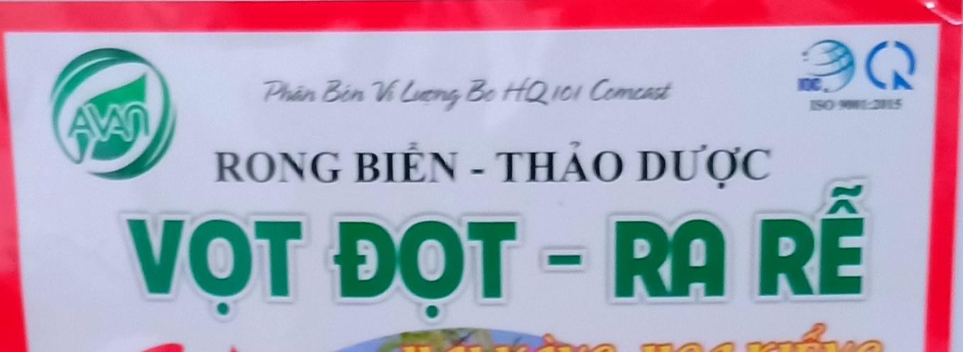 PHÂN BÓN VỌT ĐỌT RA RỄ MAI VÀNG HOA KIỂNG