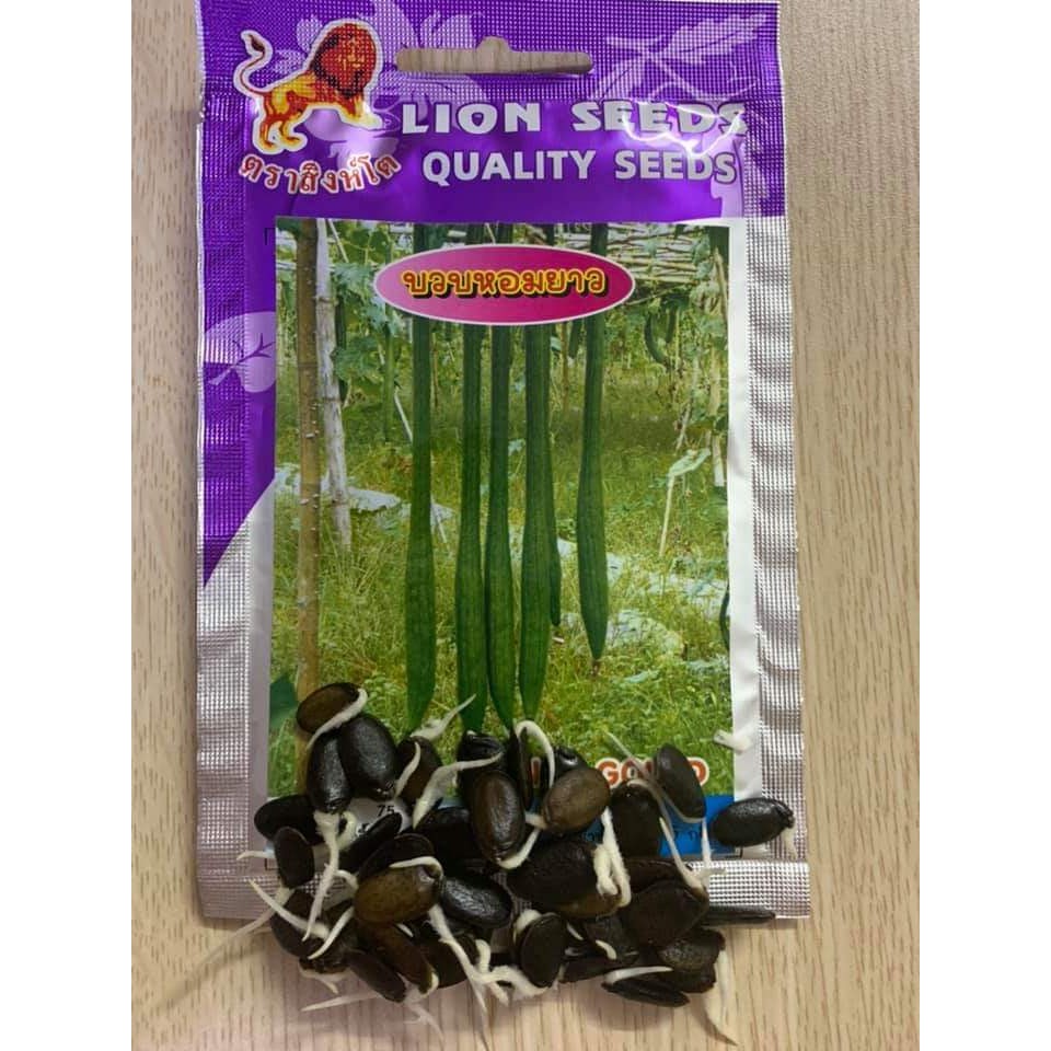 Hạt Giống Mướp Siêu Dài Thái Lan