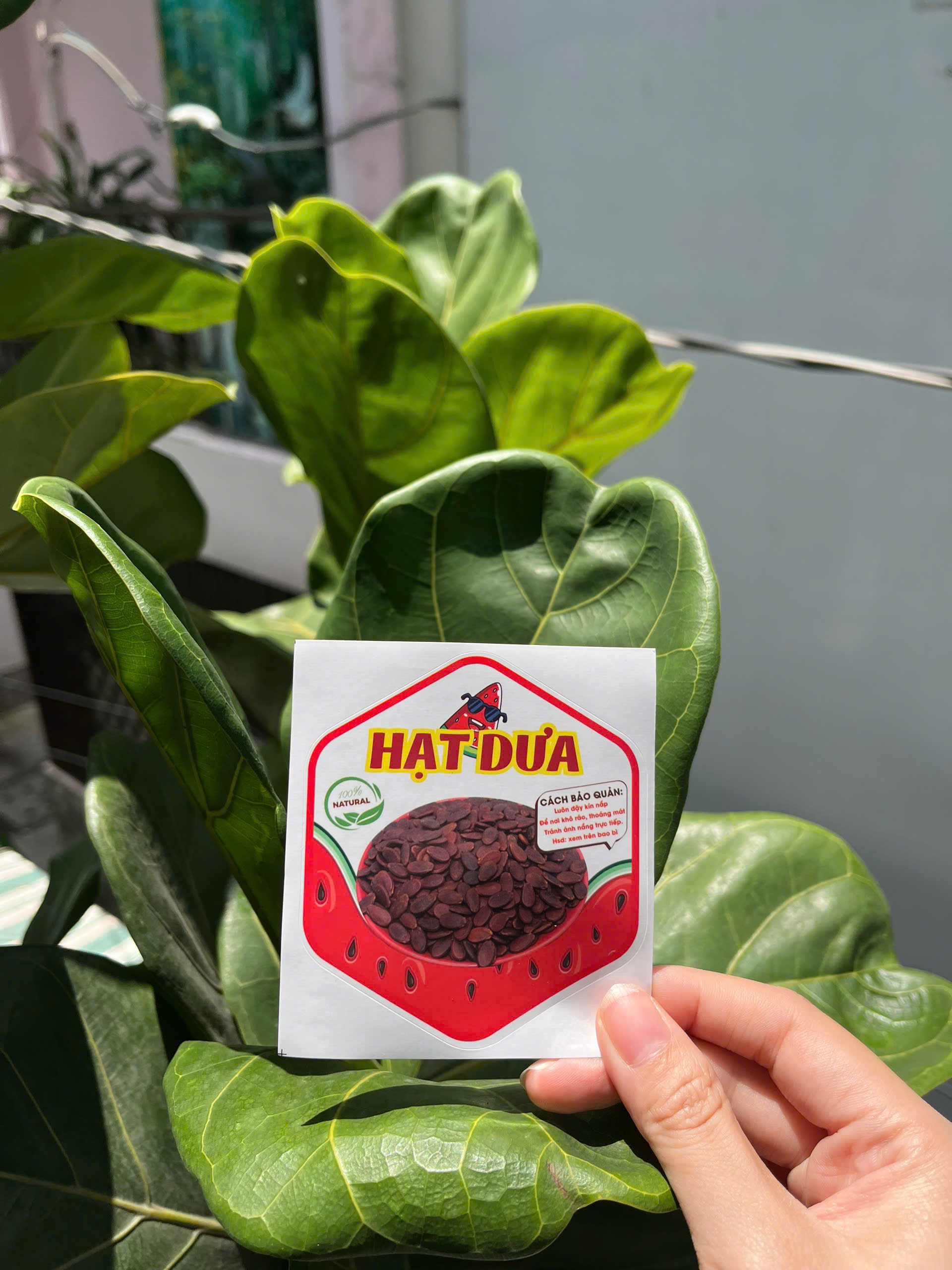 55 Tem Dán, Nhãn Dán Hạt, mứt Cán Bóng Đẹp 7 x 8 cm