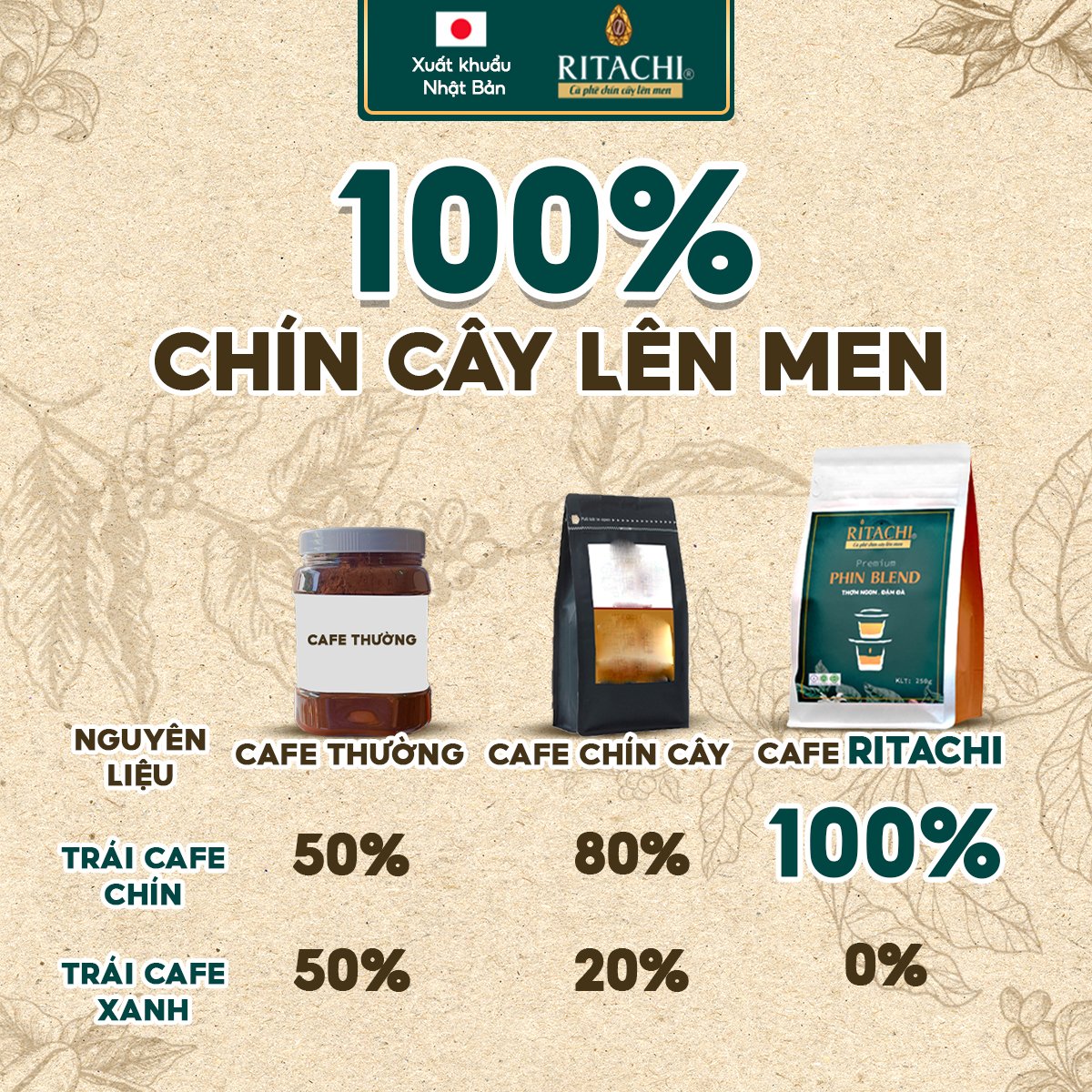 Combo Cà phê Filter Blend và Espresso Blend, Phối Cafe Arabica và Rubusta, 100% Rang Mộc,Cà Phê Pha Máy, Pha Phin, Cold Brew, Fine Robusta và Specialty Arabica 2 gói 250gr