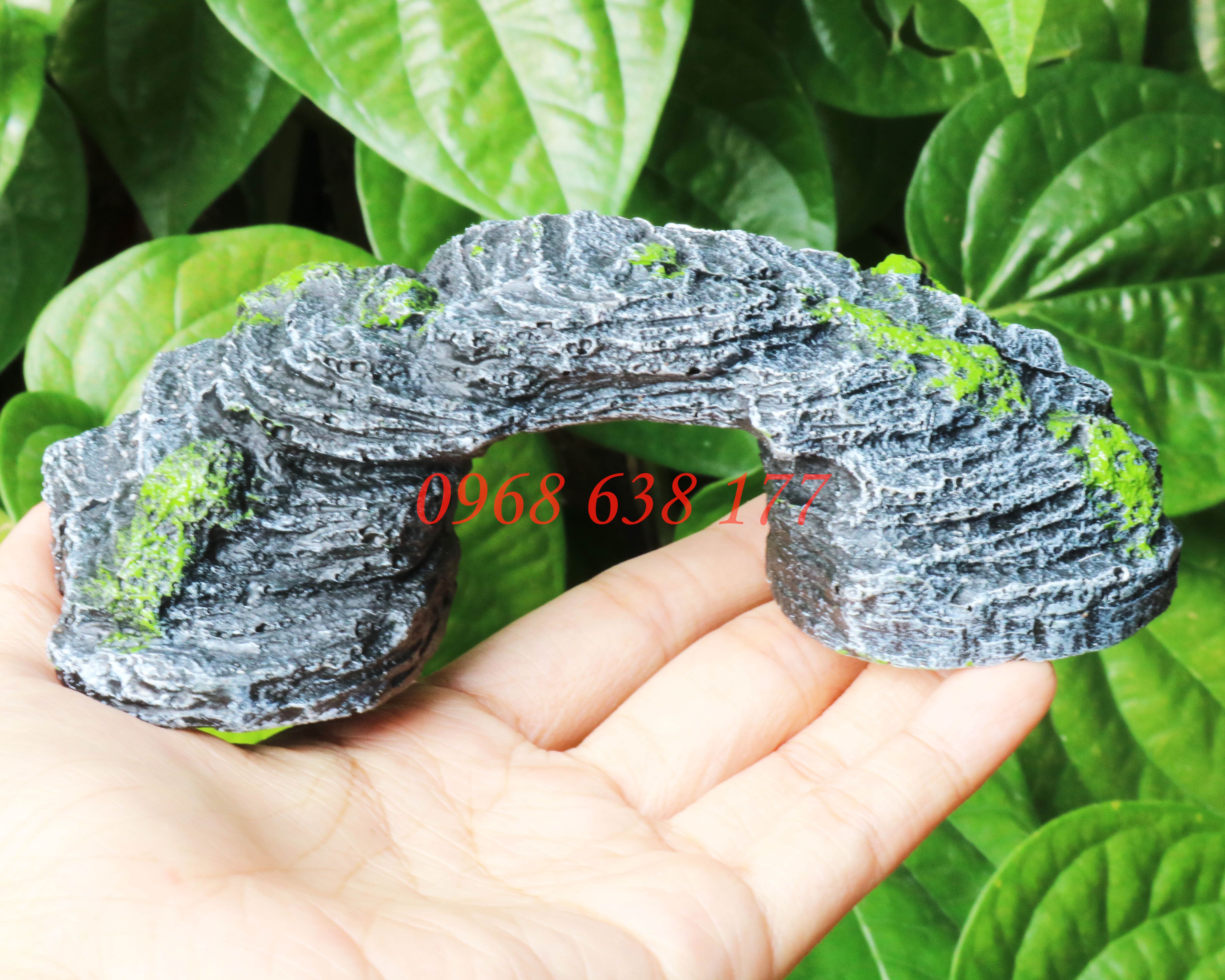 Cầu thang cho rùa, bò sát phơi nắng