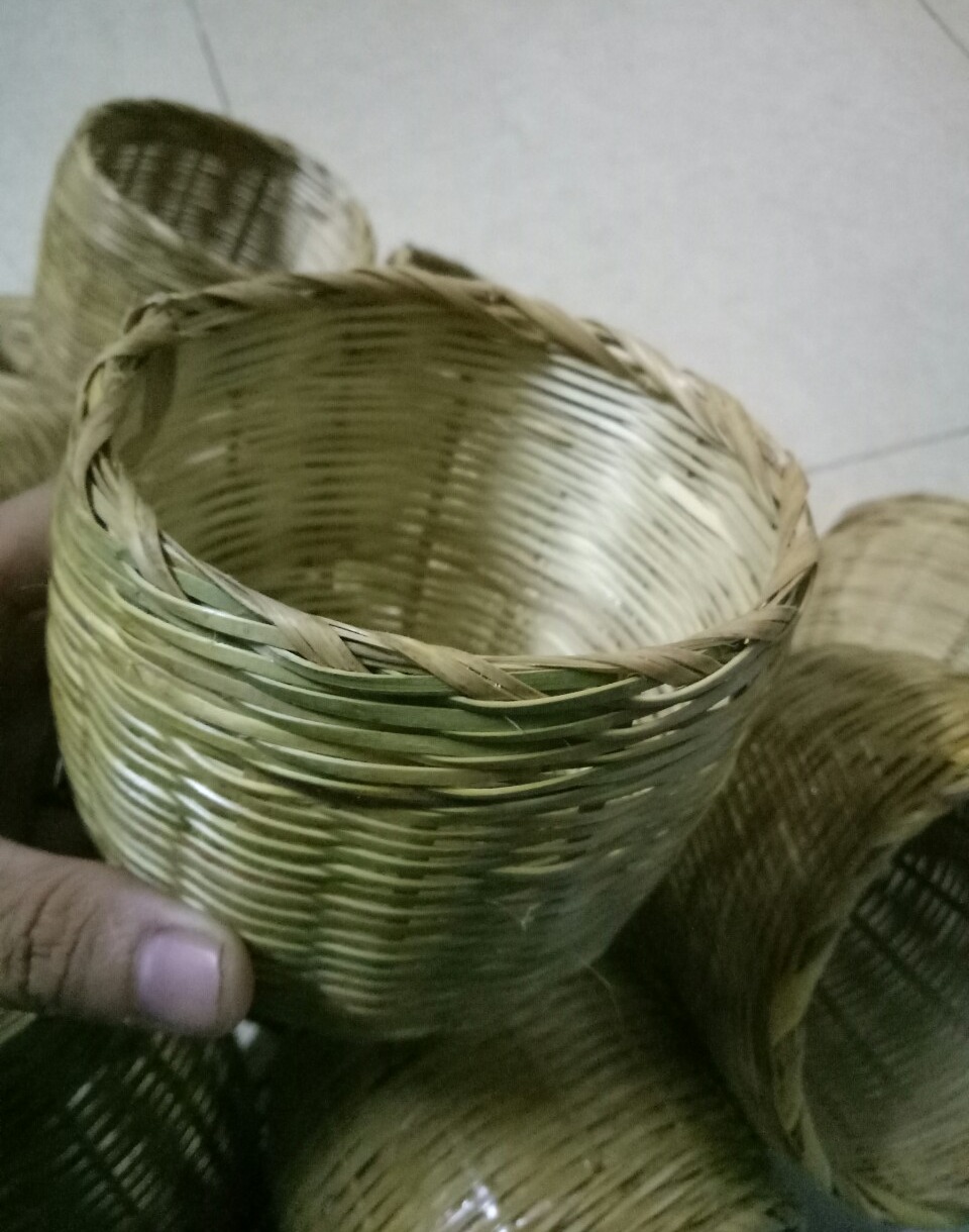 Tổ tre cho manh manh, bảy màu, yến hót, sắc nhật