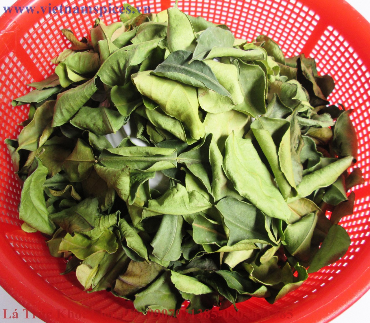 [HCM]lá trúc khô (lá chanh khô) 100gram