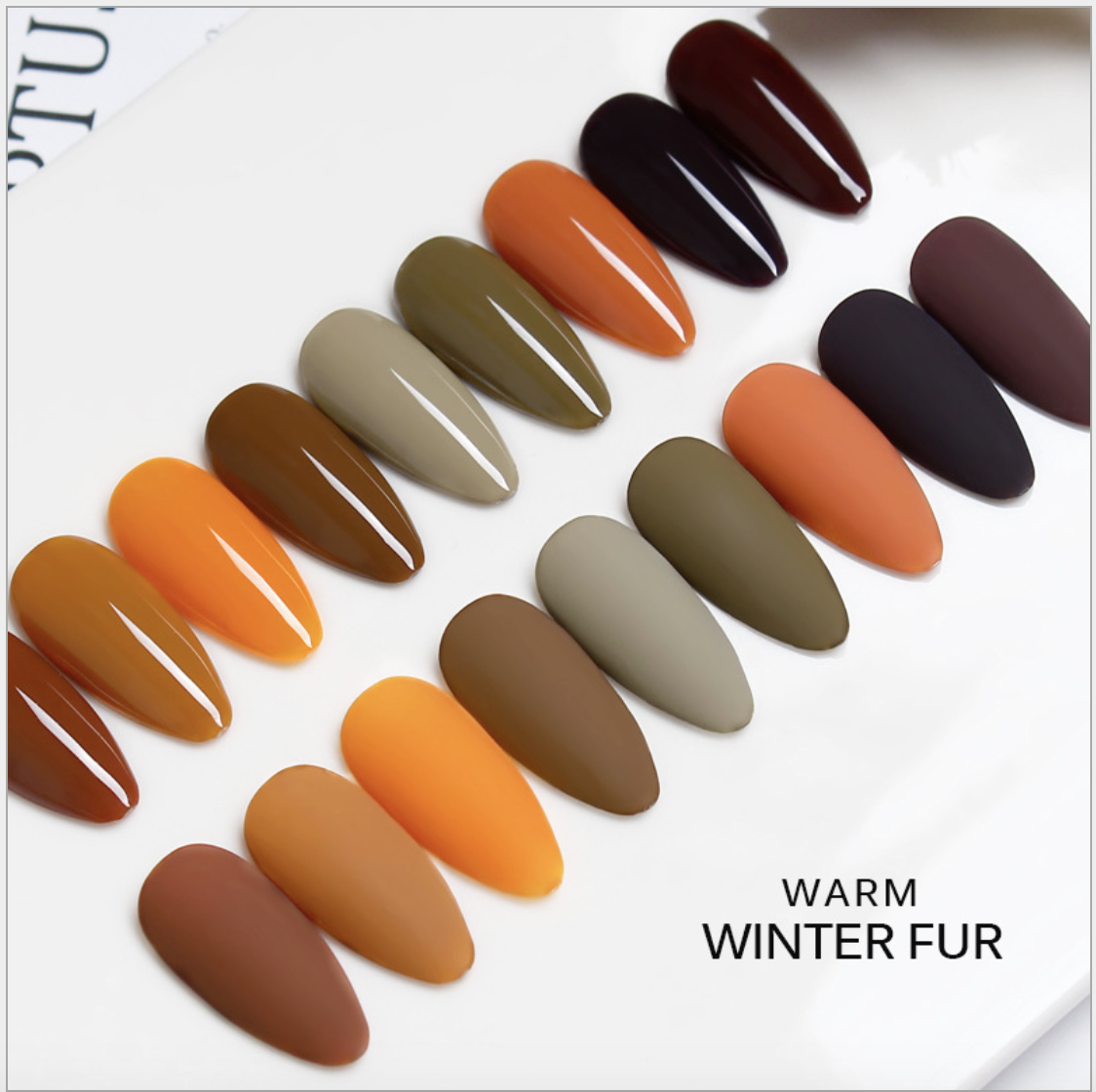 Sơn Gel AS Chai Đỏ Mã AMM 15ml