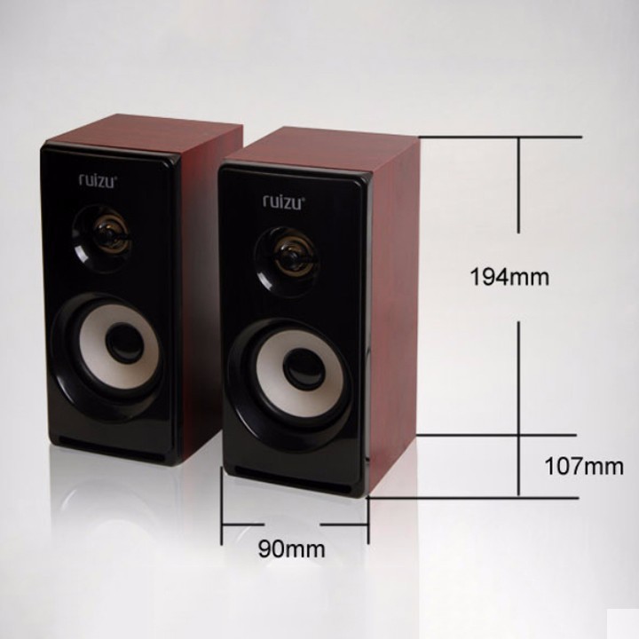 LOA VI TÍNH RUIZU RS-810