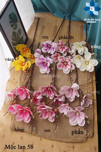Hoa Giả, Cành Hoa Mộc Lan 5 Bông
