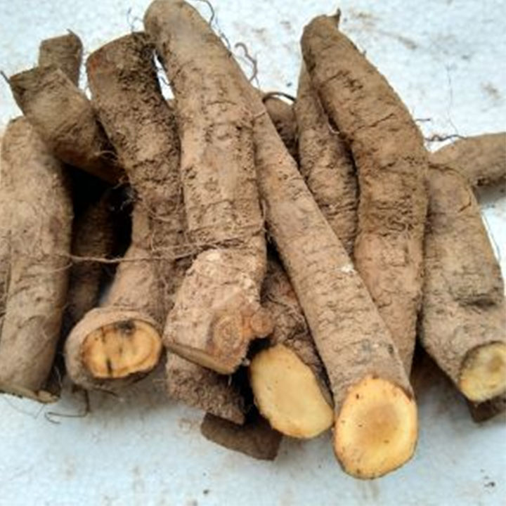 Củ gai 1kg (an thai)