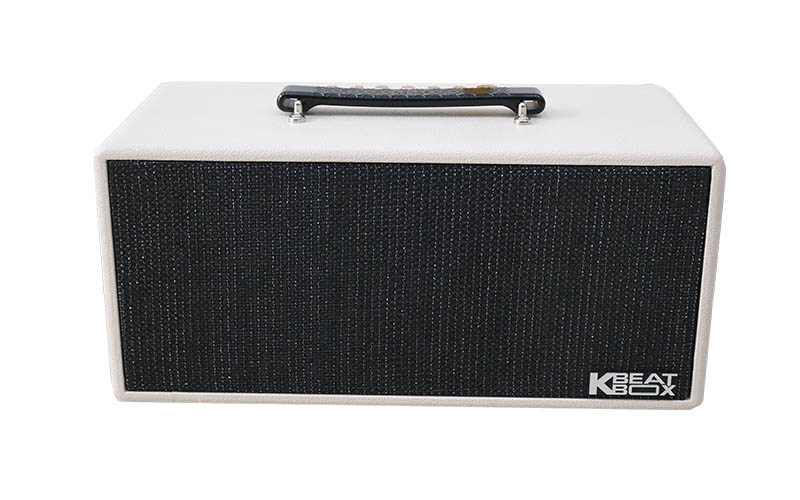 Loa Kéo Di Động Acnos KS363H