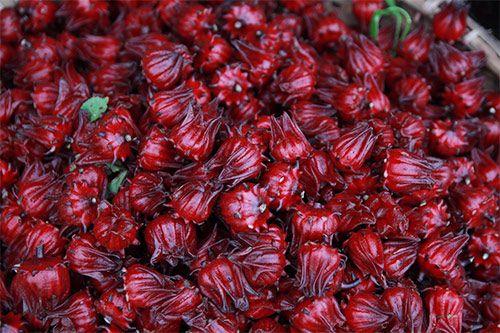 Gói 1g hạt giống atiso đỏ