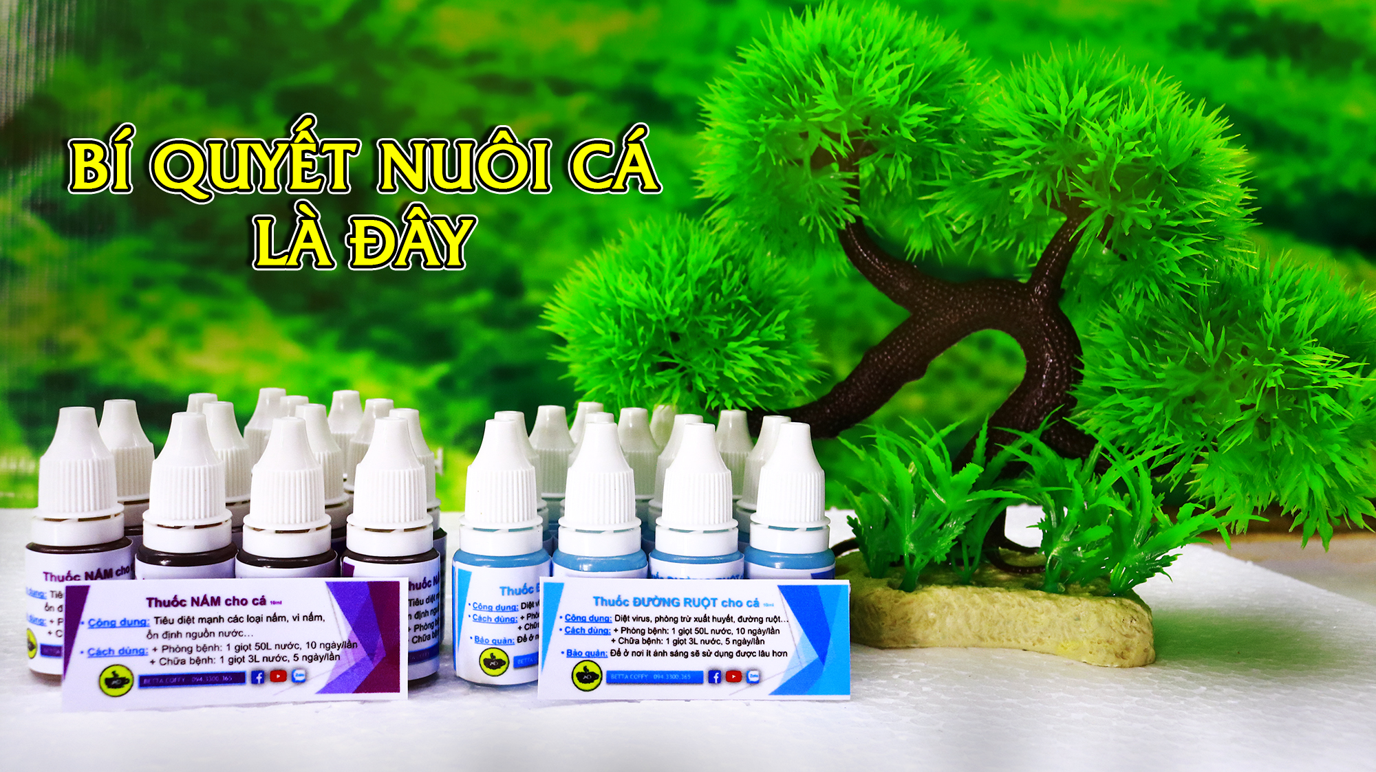 Dụng cụ vệ sinh hồ cá - CHÀ HÍT NAM CHÂM