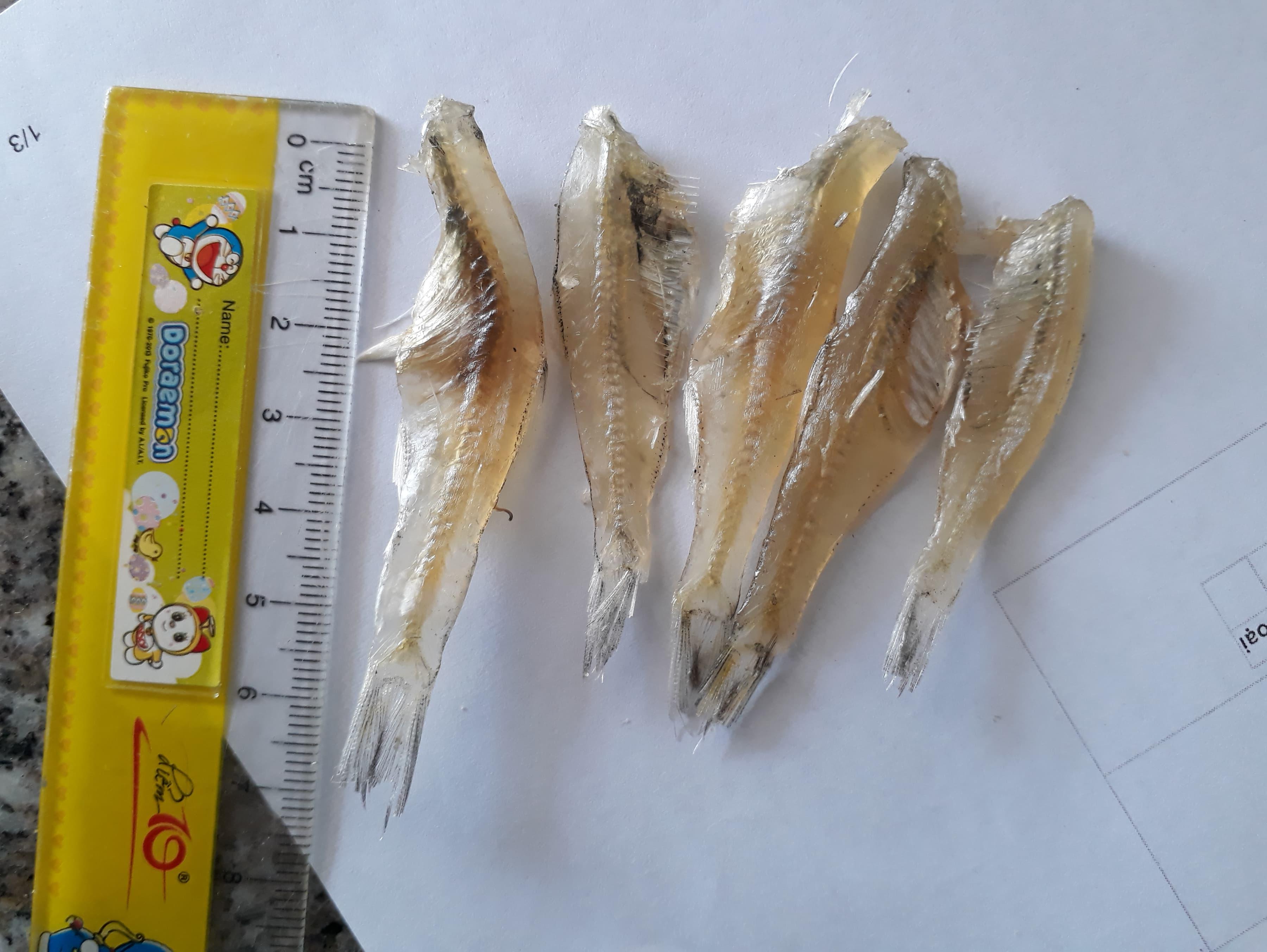 0.5kg cá cơm sọc tiêu khô phú quốc