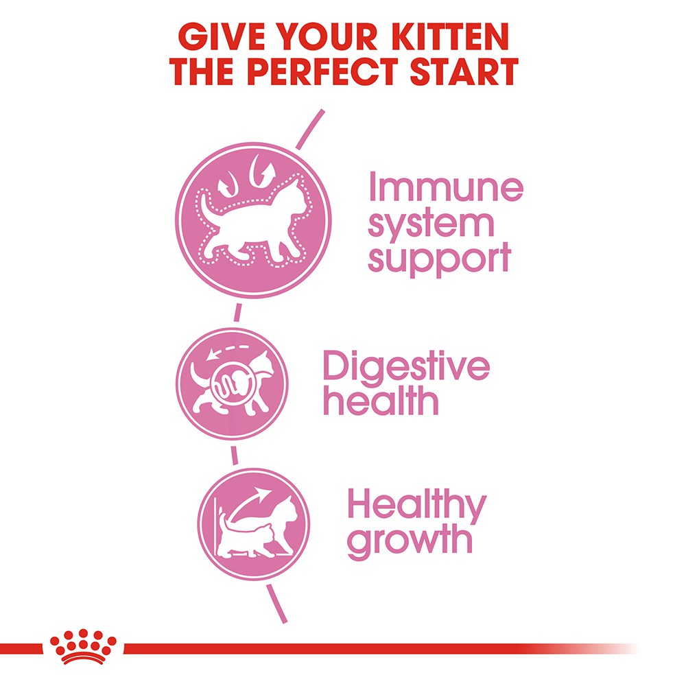 [1Kg-2Kg] Hạt ROYAL CANIN Kitten Dành Cho Mèo Con