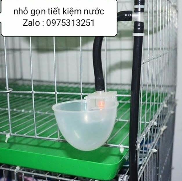 10 máng uống tự động chim gà bồ câu