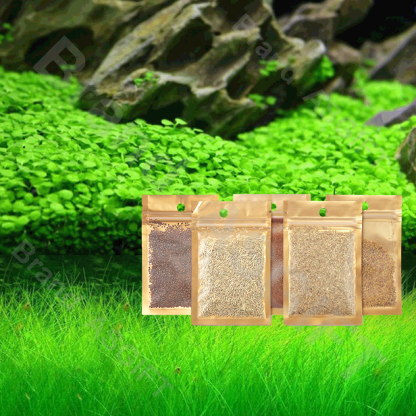 Easy Growing Mini Leaf Aquarium Plant Decoration Waterweed Glossostigma Hemianthus Fish Tank Water Plant Grass Lawn 6 style