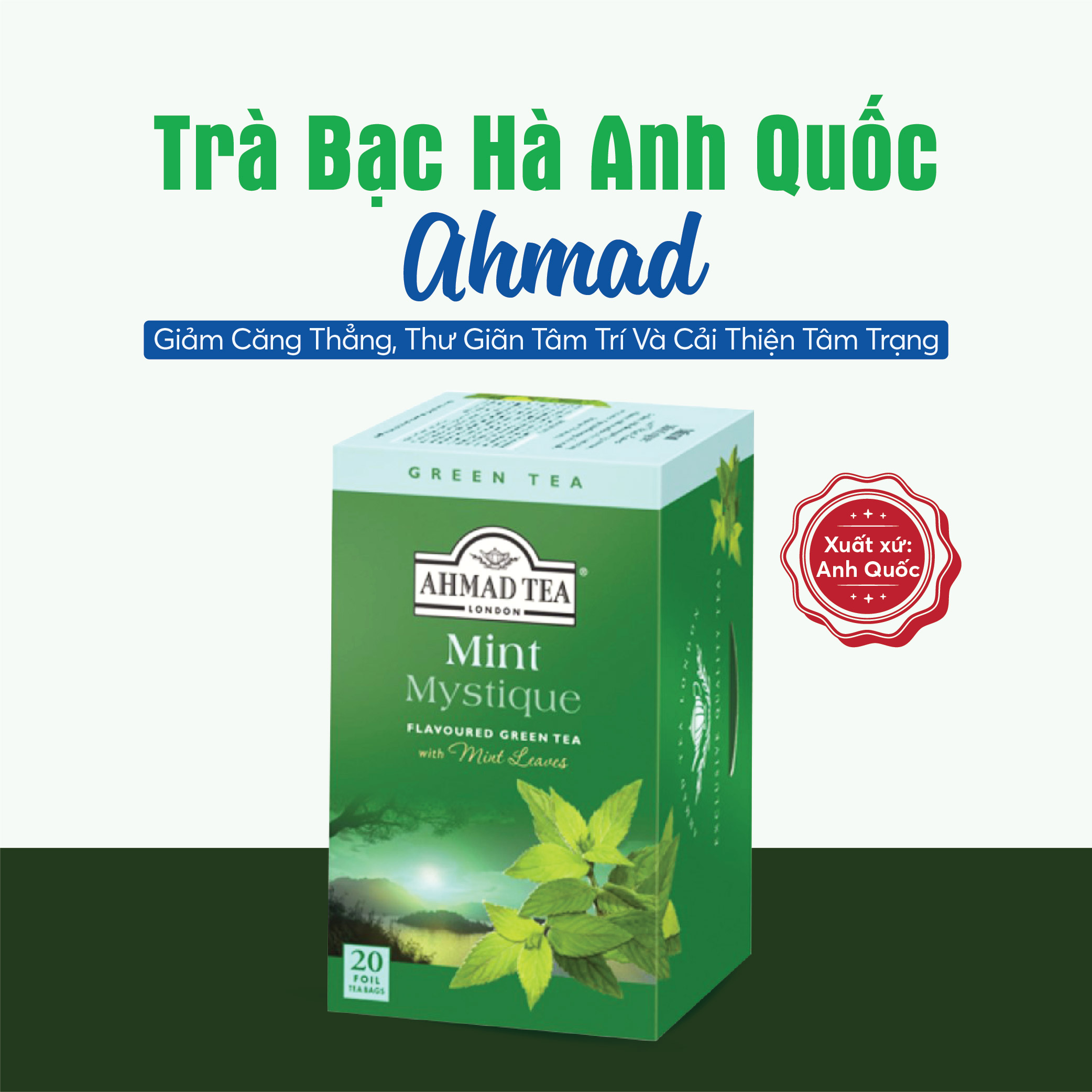 Trà Bạc Hà Anh Quốc AHMAD