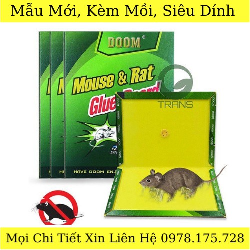 Keo Dính Chuột Mẫu Mới Kèm Mồi Siêu Dính