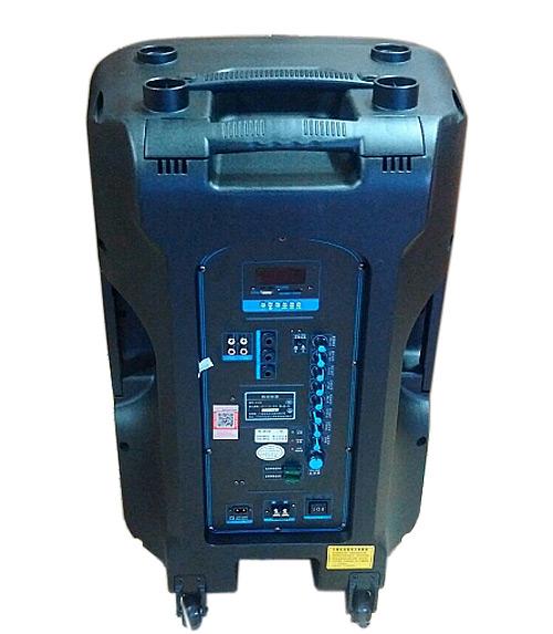 Loa di động Temeisheng SL-15