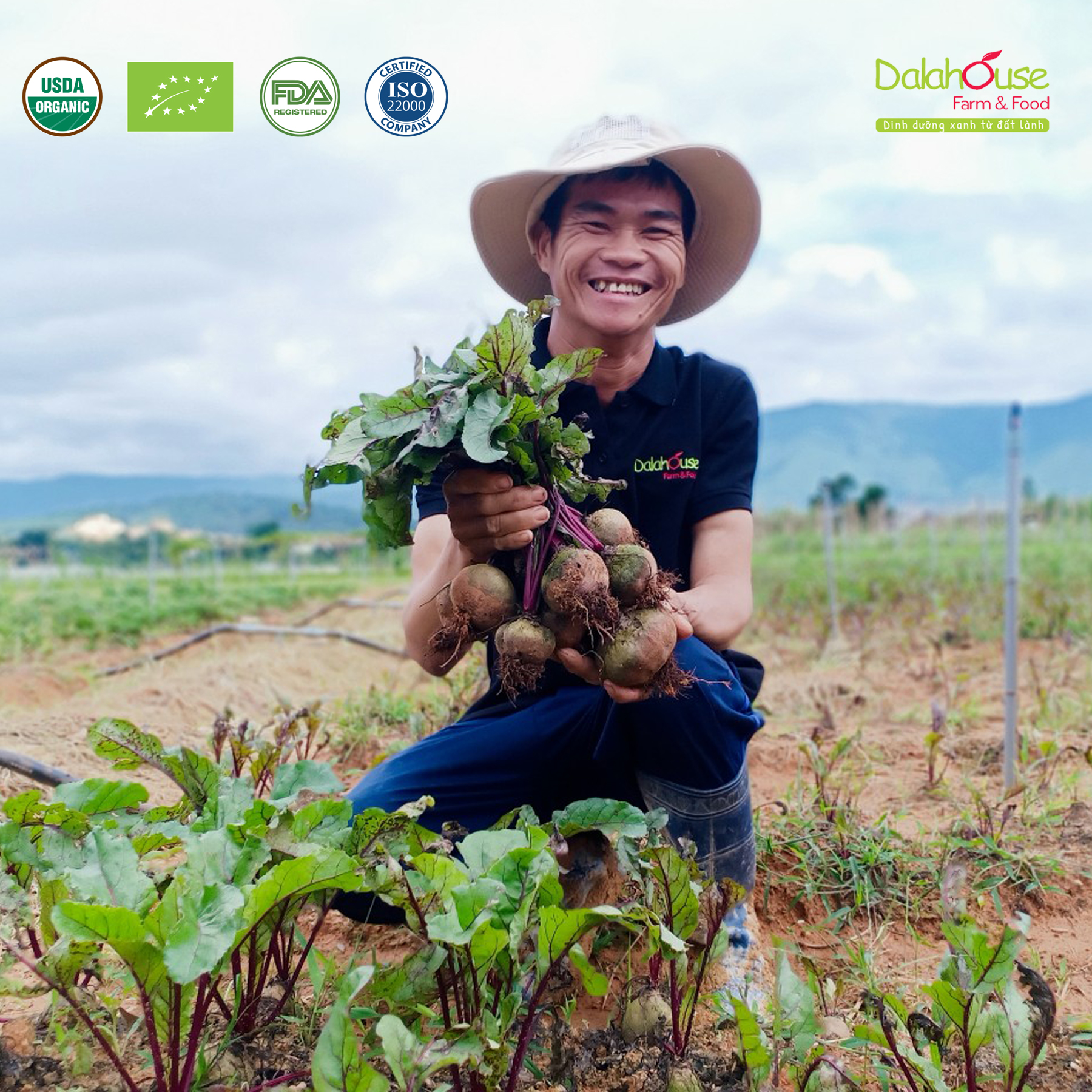 Bột củ dền sấy lạnh Dalahouse hộp 120g