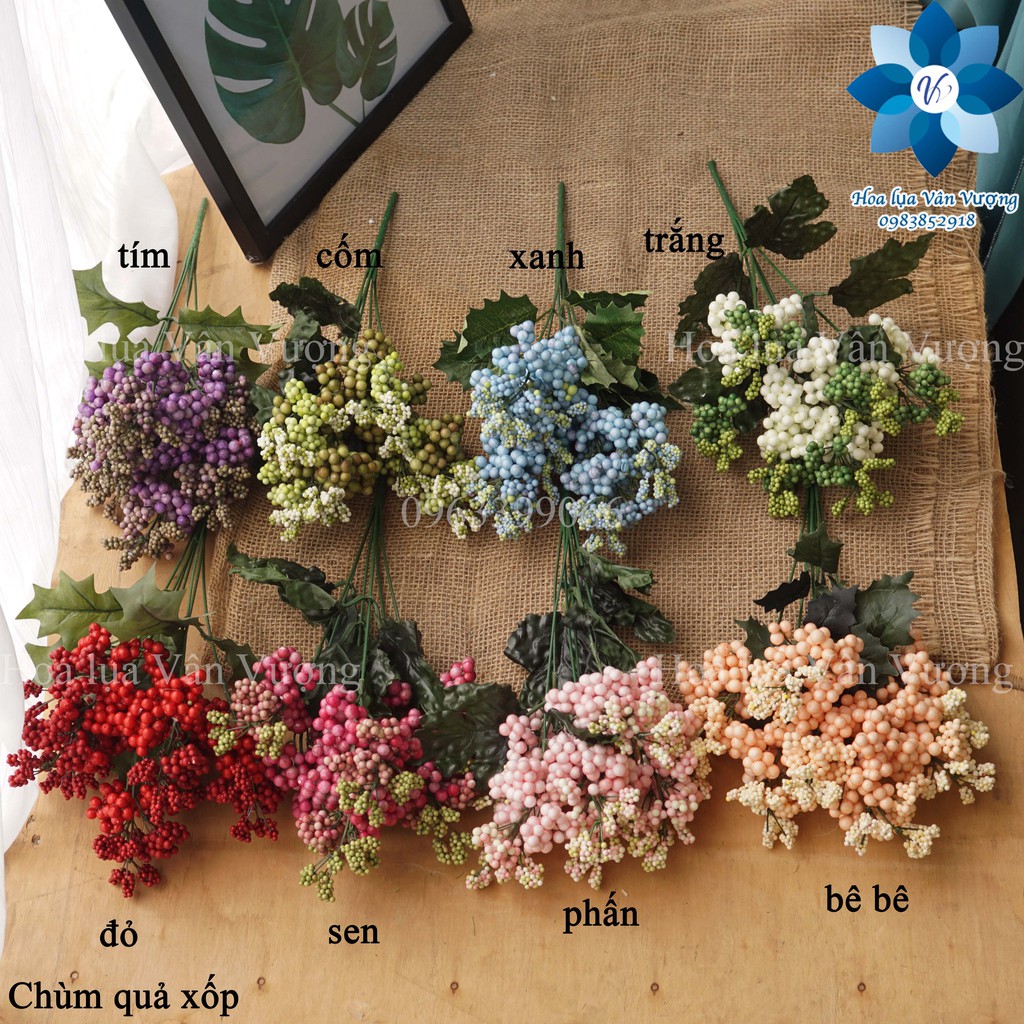 Hoa Giả, Chùm Quả Xốp Điểm