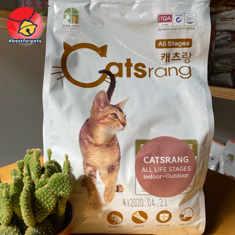 Hạt Catsrang cho mèo mọi lứa tuổi