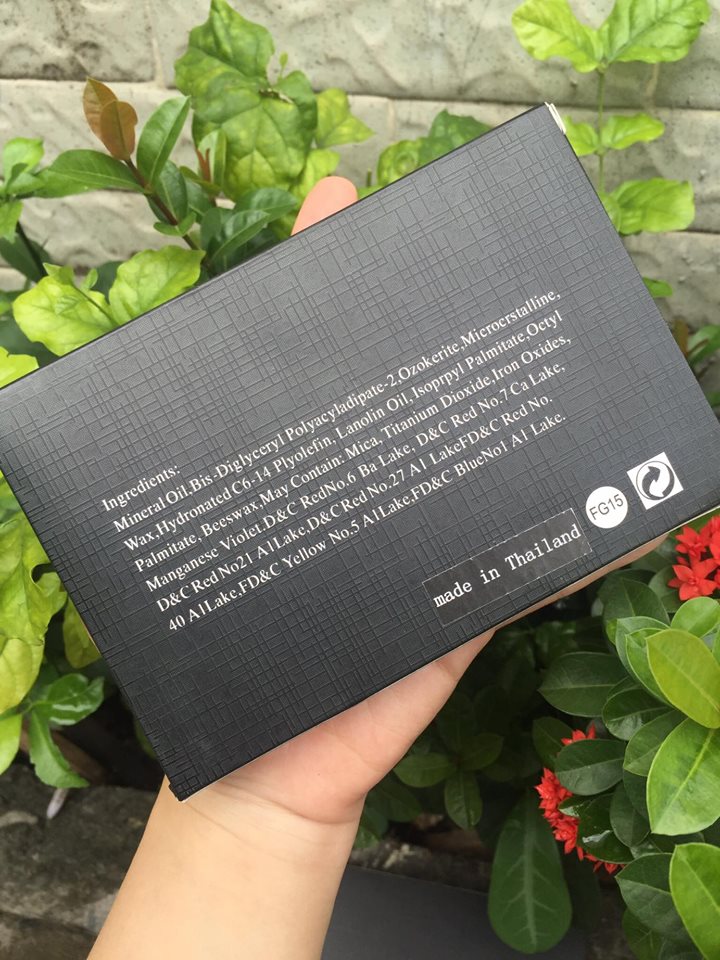 Phấn mắt 15 màu tone tây